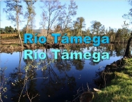 Río Támega